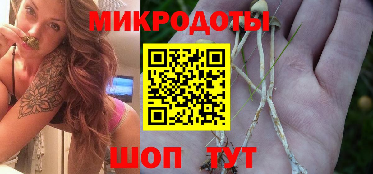 Галлюциногенные грибы ЛСД  Псилоцибиновые грибы Psilocybe  Кольчугино  Вход с VPN 